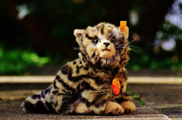 Stuffed Cat